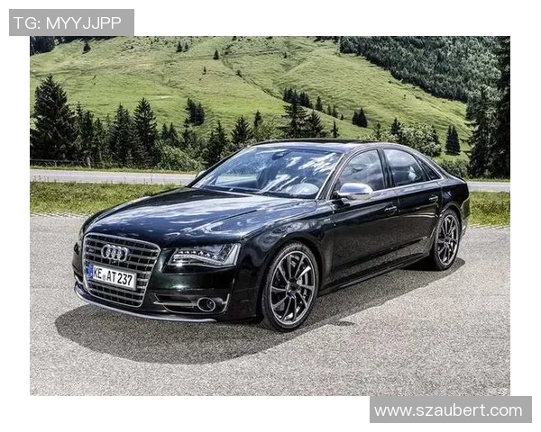 哈兰德豪车再添新成员:兰博基尼后奥迪S8亮相引关注 哈兰德豪车再添新成员:兰博基尼后奥迪S8亮相引关注